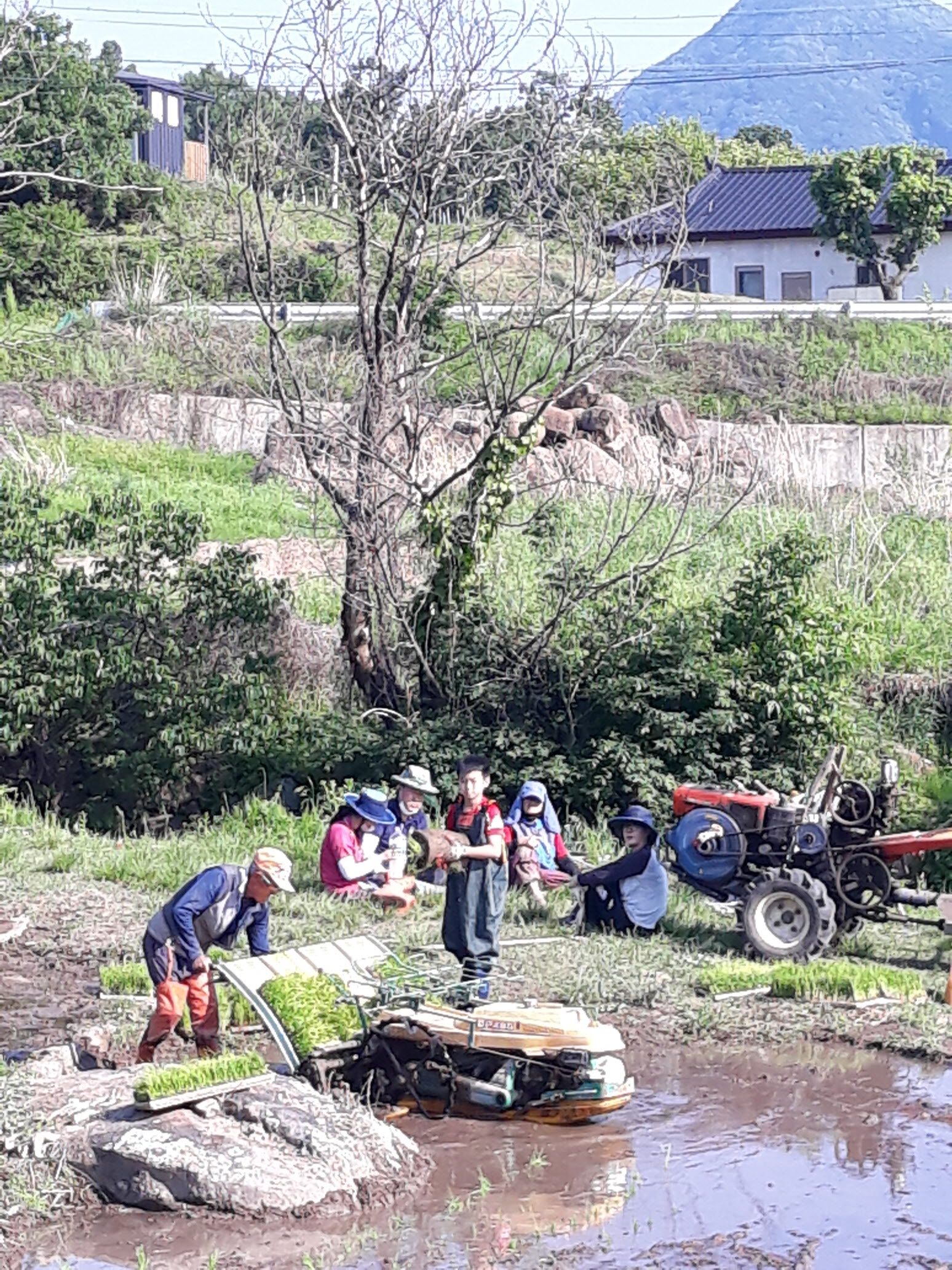 2021-모내기-체험-1.jpg