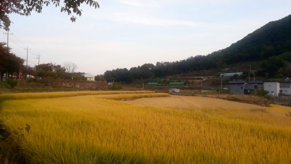 KakaoTalk_20211119_104231800_03.jpg