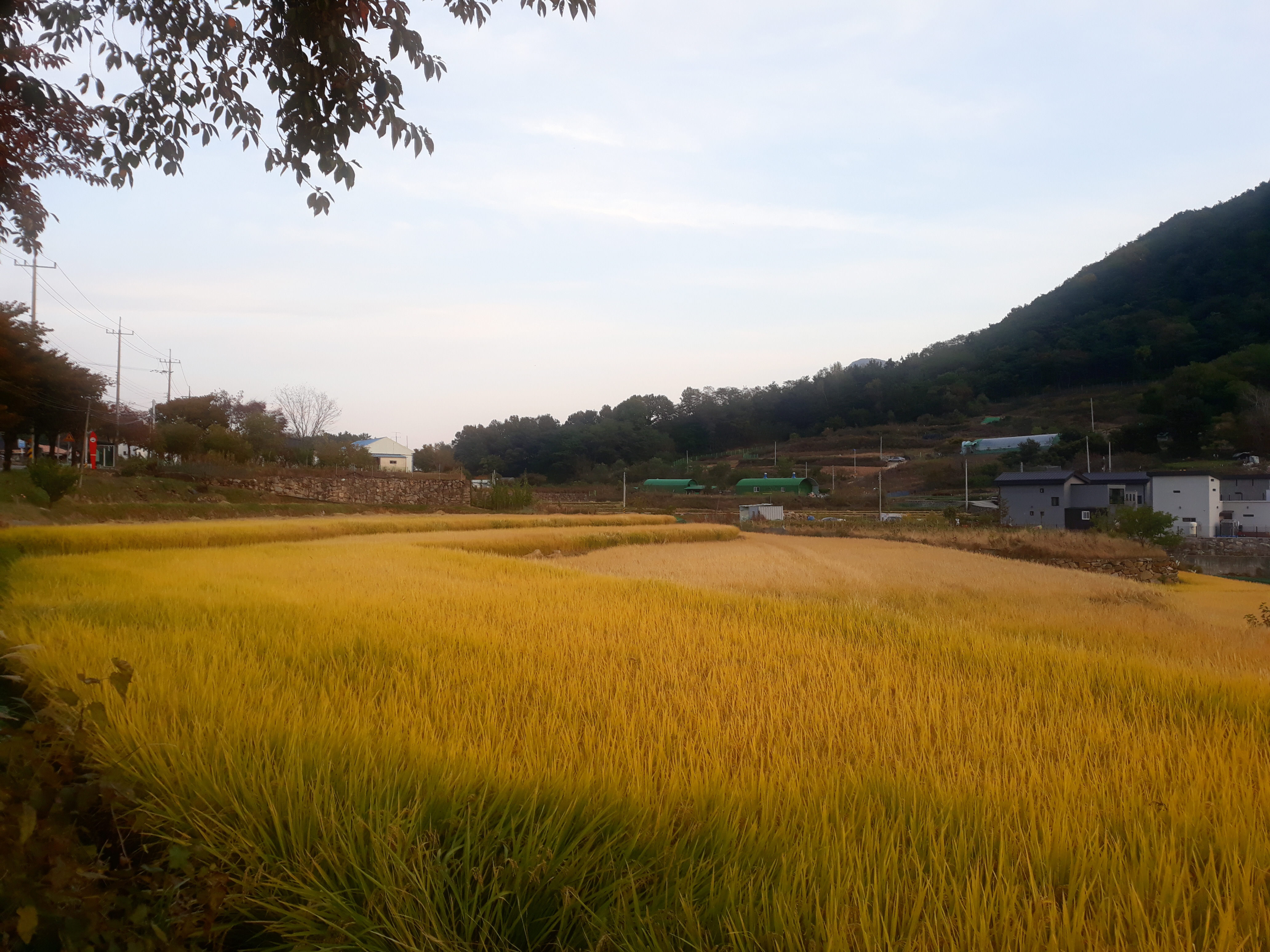 KakaoTalk_20211119_104231800_03.jpg