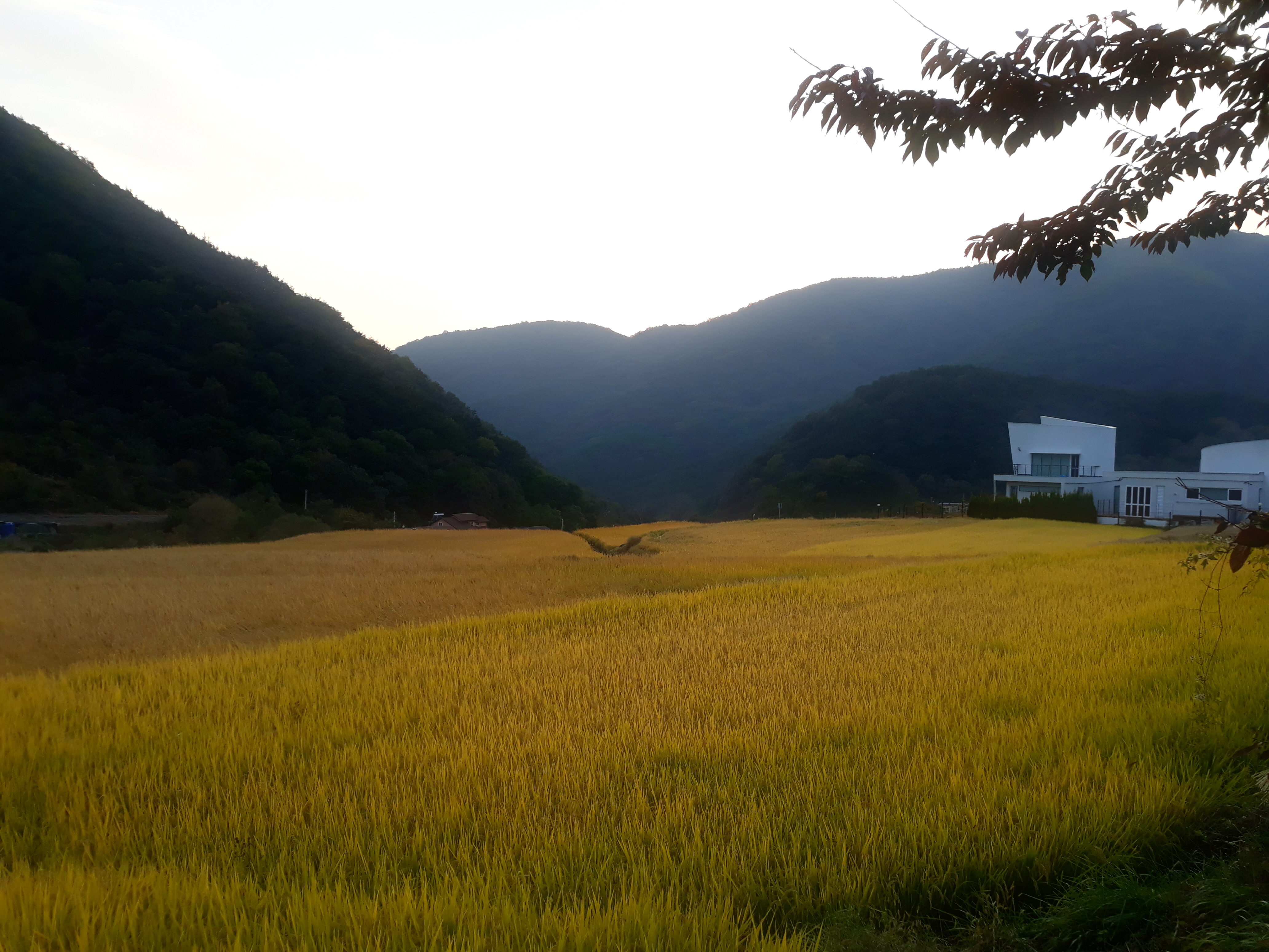 KakaoTalk_20211119_104231800_09.jpg